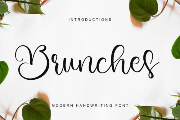 Brunches: A Fresh Script for Modern Branding
