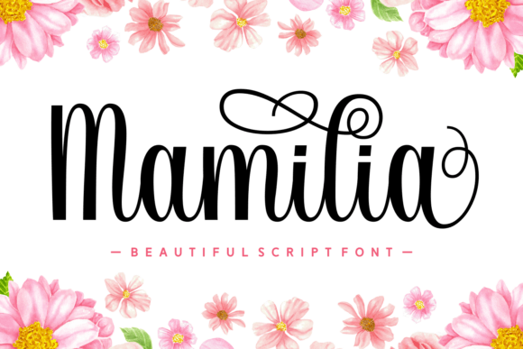 Elevate Your Brand with the Mamilia Script Font
