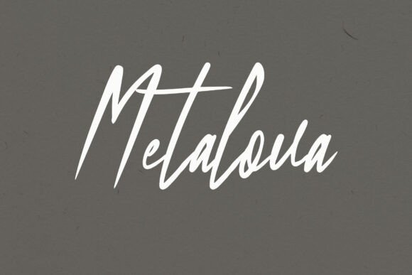 Metalova: A Typeface That Elevates Branding for Small Businesses