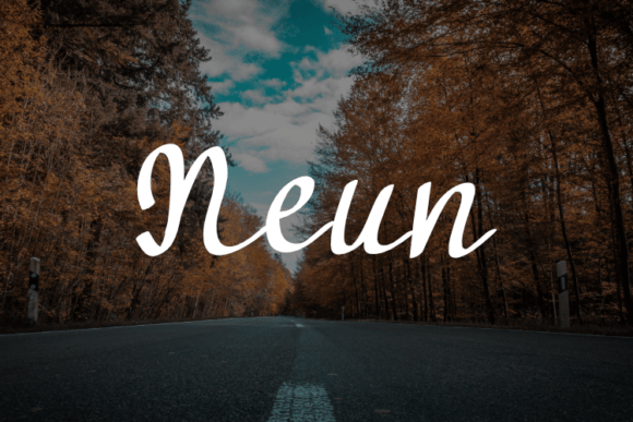 Neun: The Font That Elevates Your Campaign’s Message