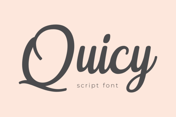 Quicy: A Beautiful Script Font for Business Branding