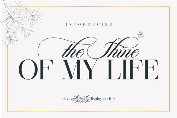 The Shine of My Life Font: Elevate Your Brand with Timeless Style