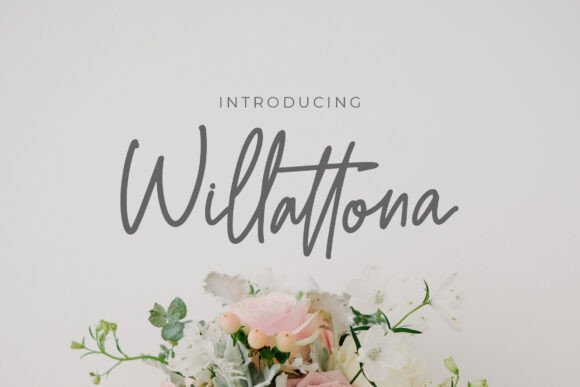 Willattona: A Monoline Script Font That Elevates Branding