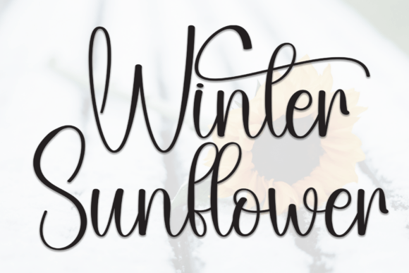 Winter Sunflower Font Review: A Playful Script for Creative Branding